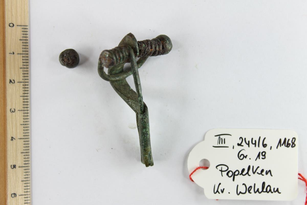 Armbrustfibel