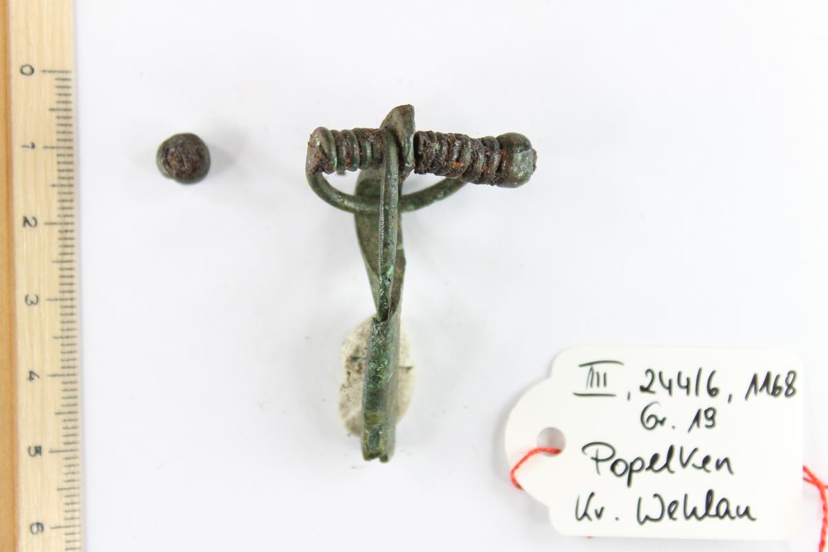 Armbrustfibel