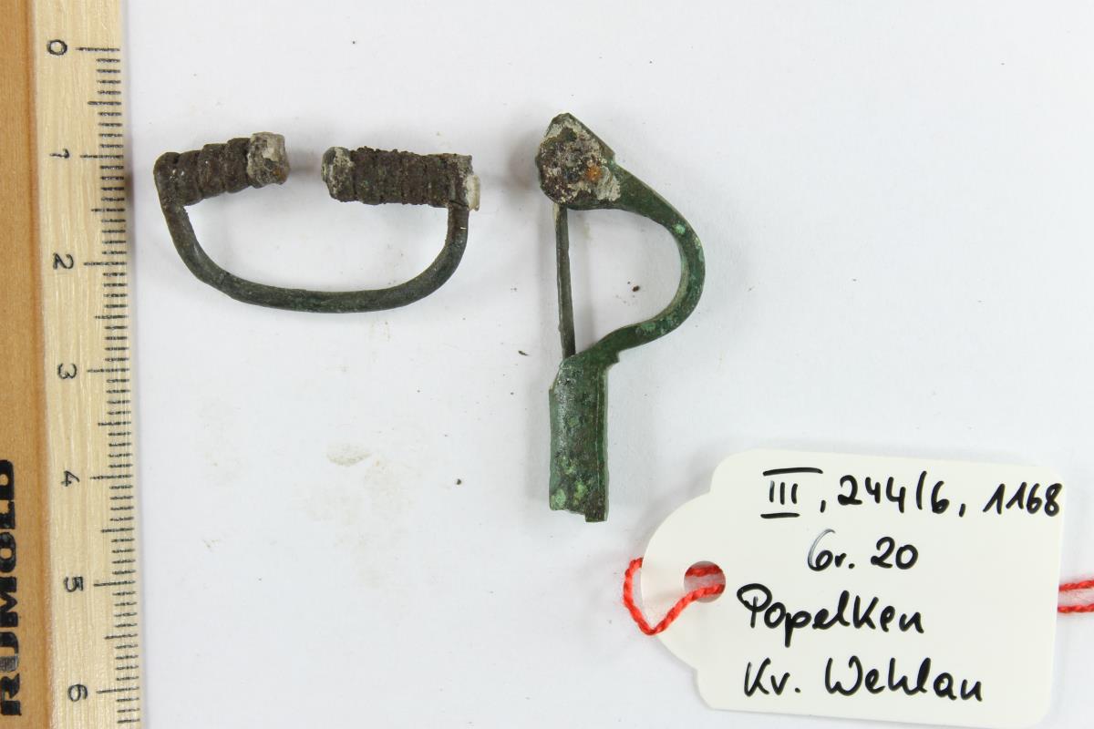 Armbrustfibel