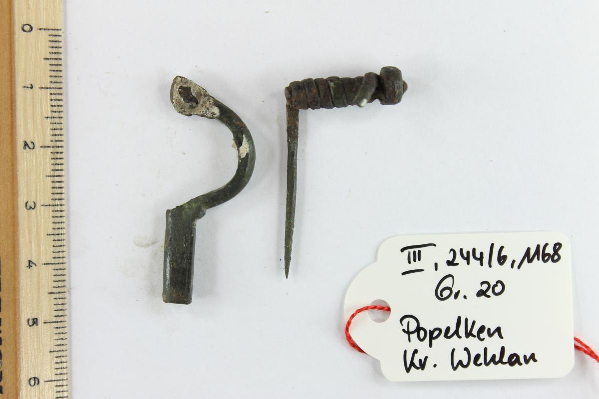 Armbrustfibel
