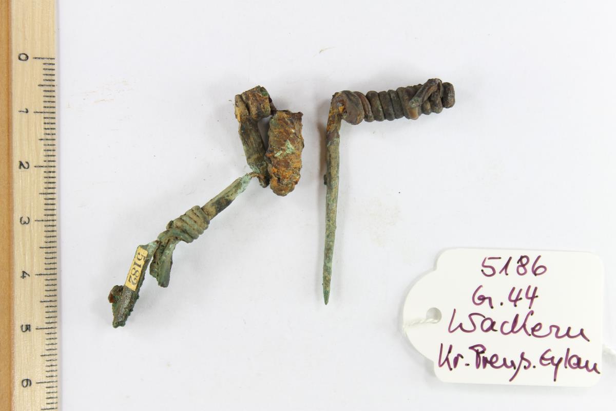 Fibelfragment
