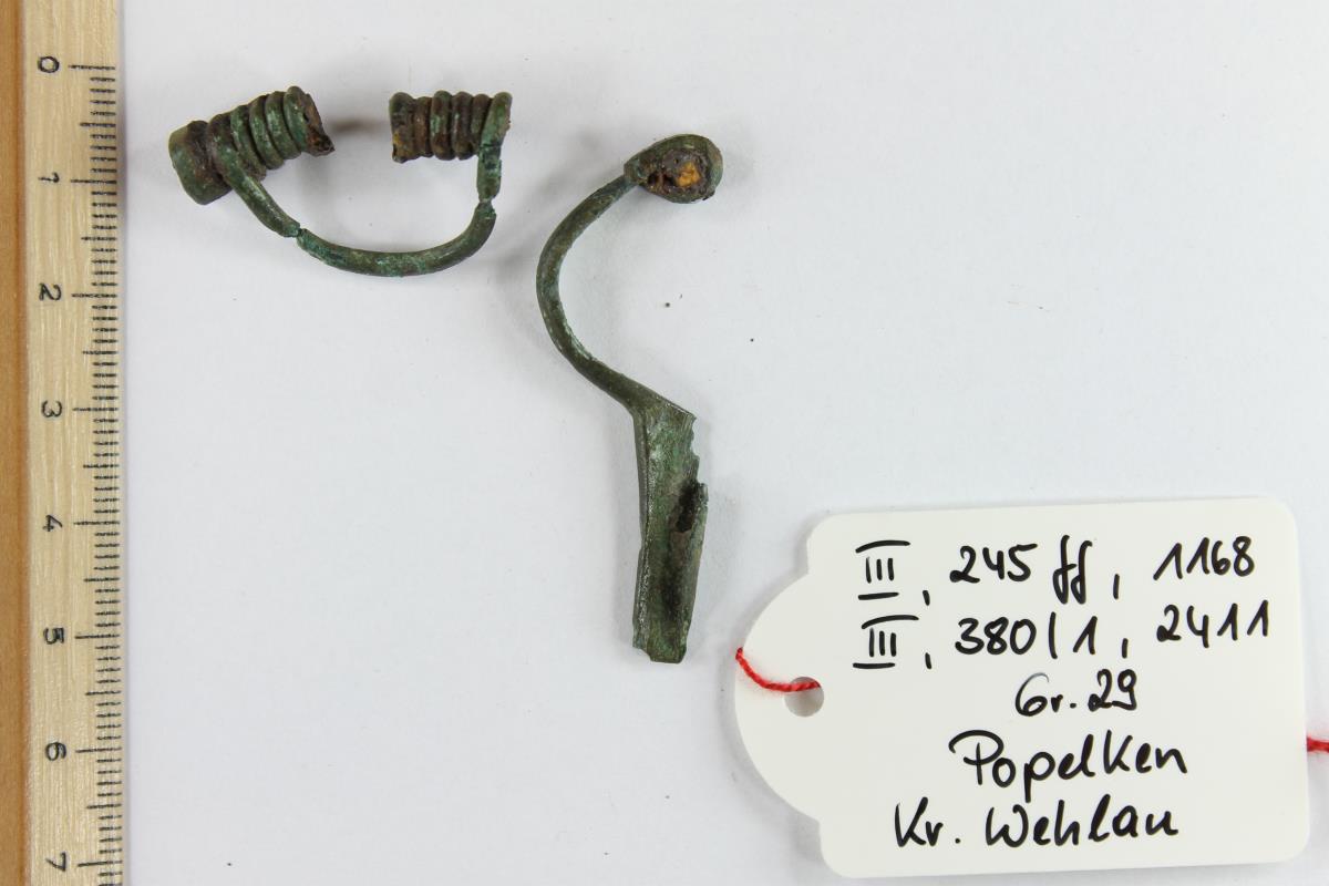 Armbrustfibel
