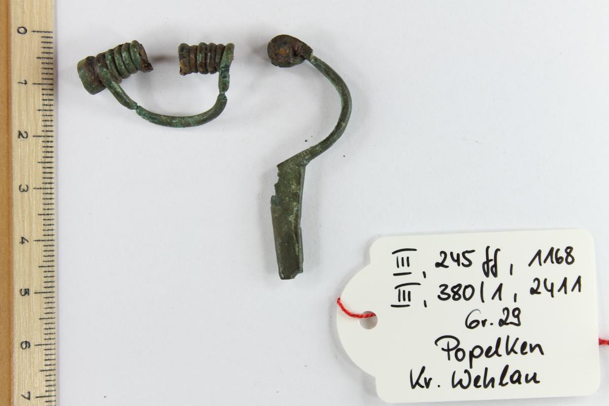 Armbrustfibel