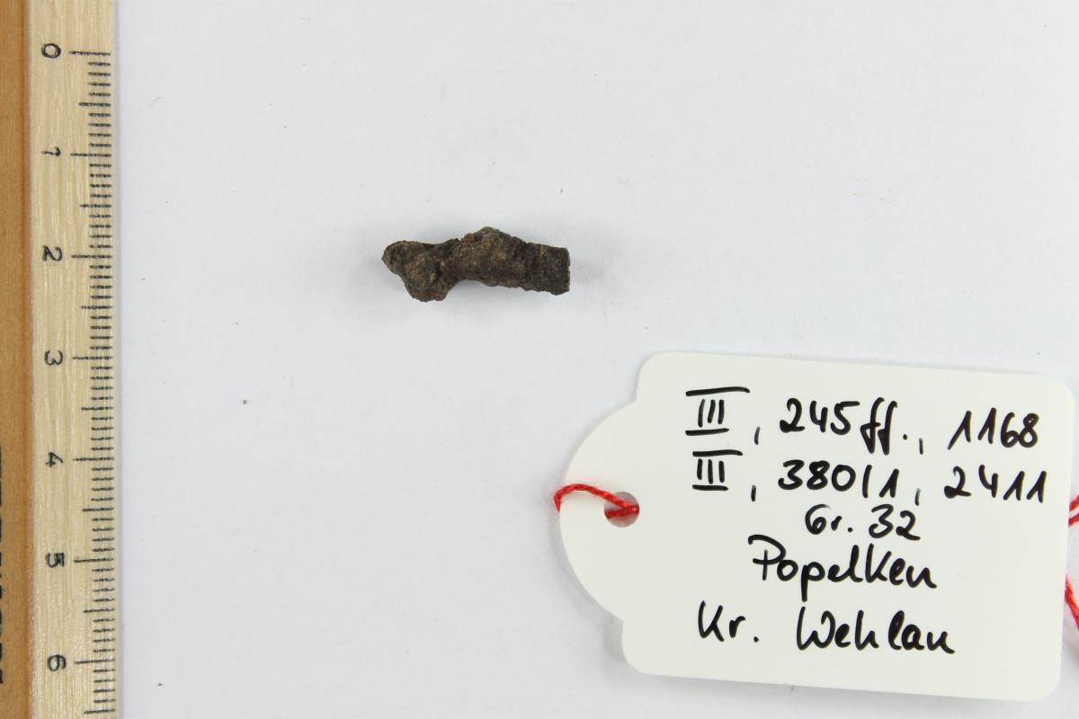 Fibelfragment