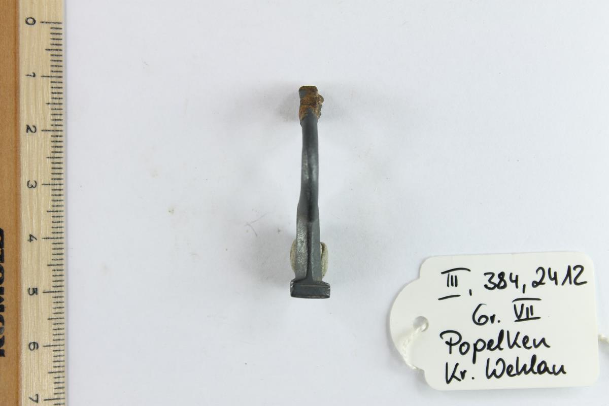 Fibelfragment