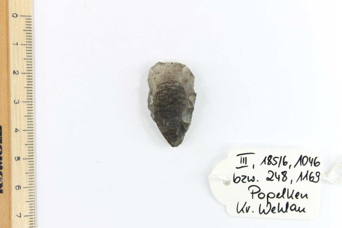 Silex
