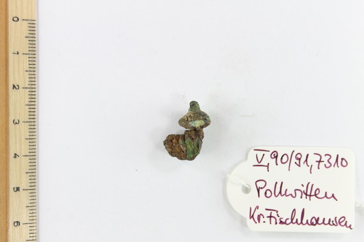 Fibelfragment