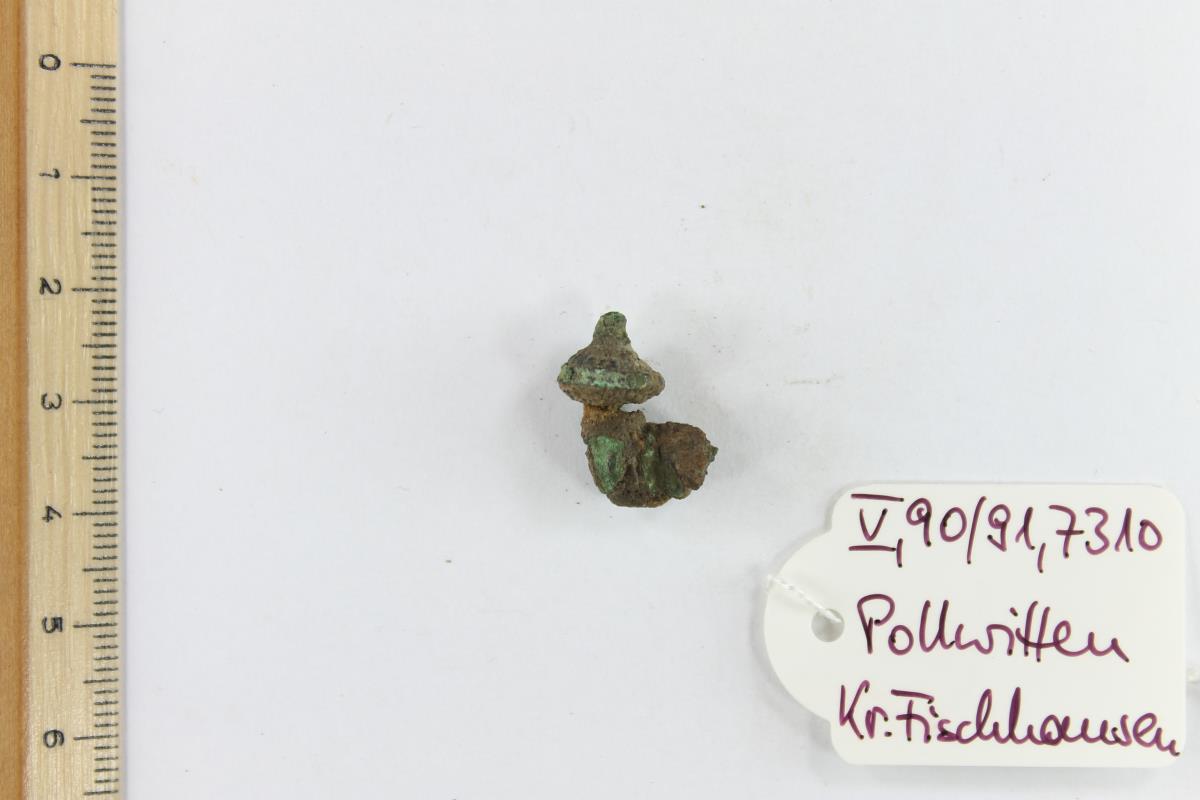 Fibelfragment