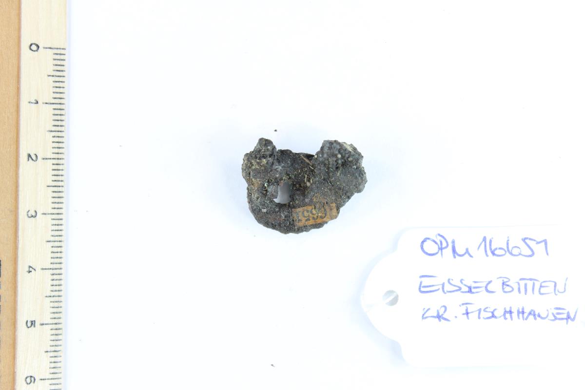 Gürtelschnallenfragment