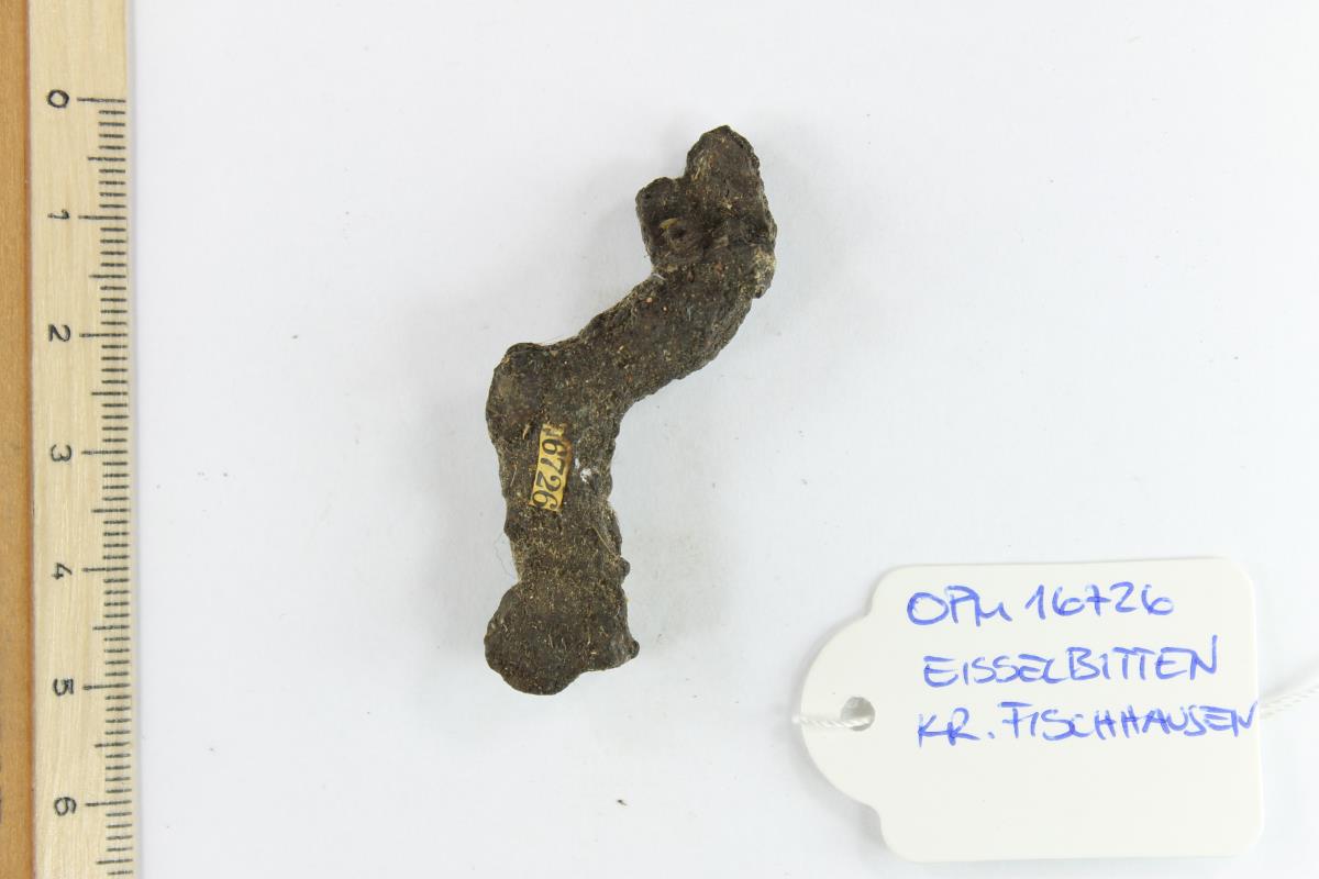 Fibelfragment
