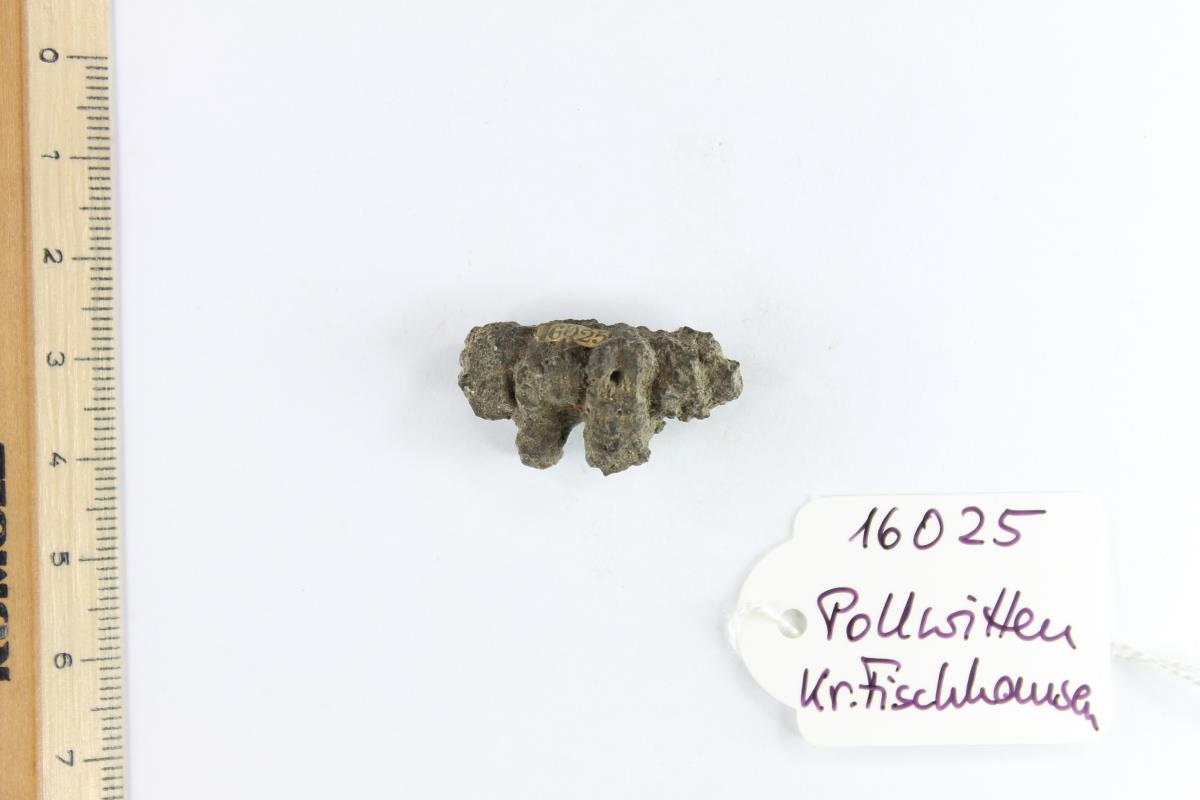 Fibelfragment