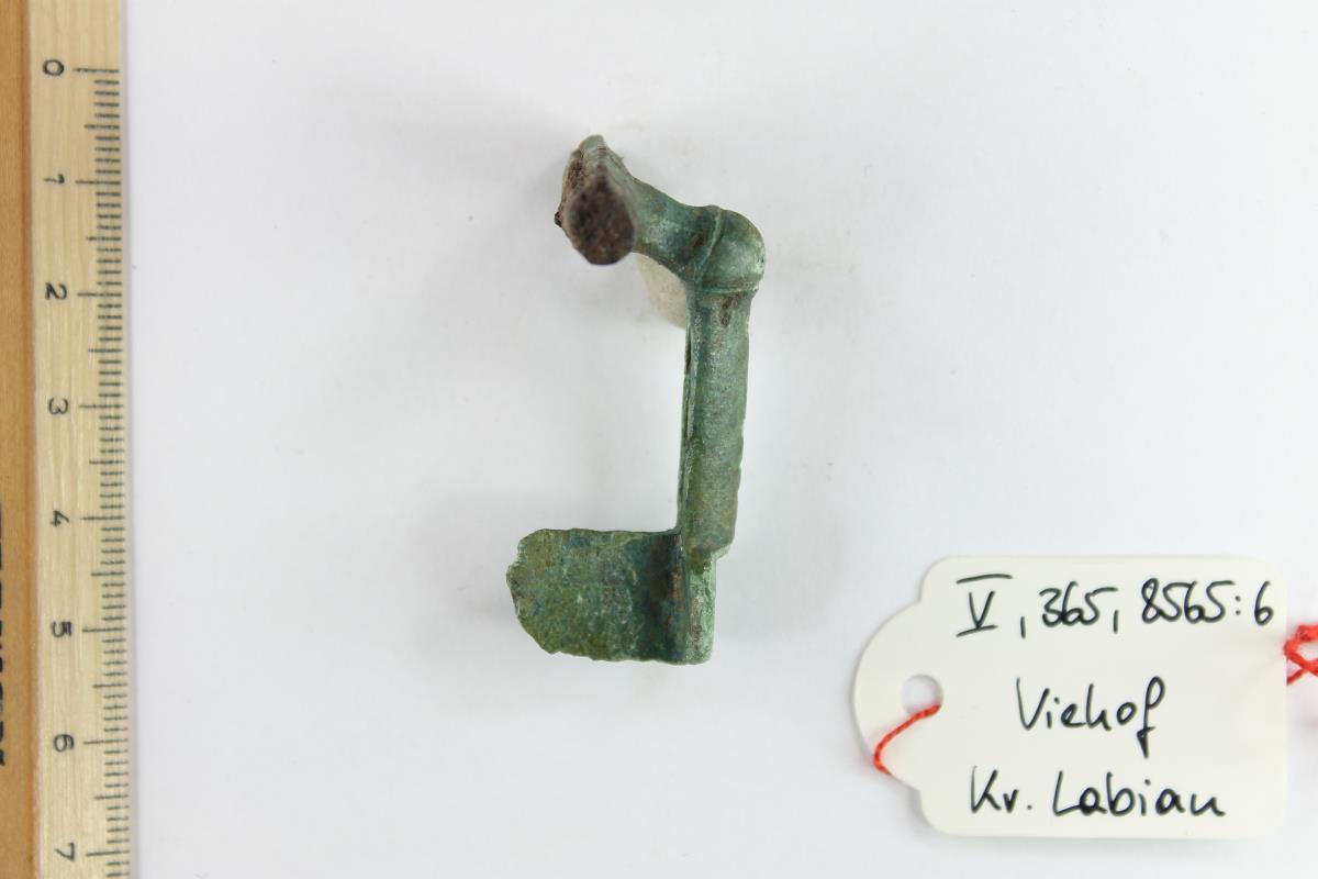 Kniefibel