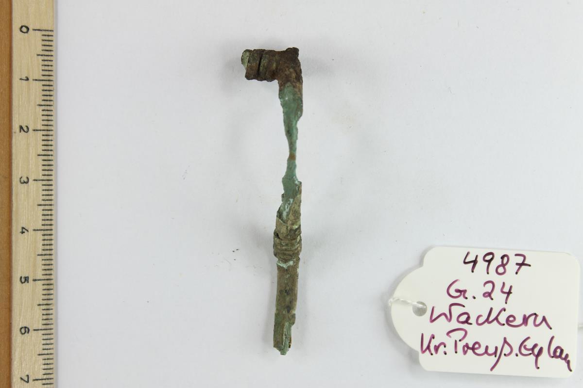 Fibelfragment