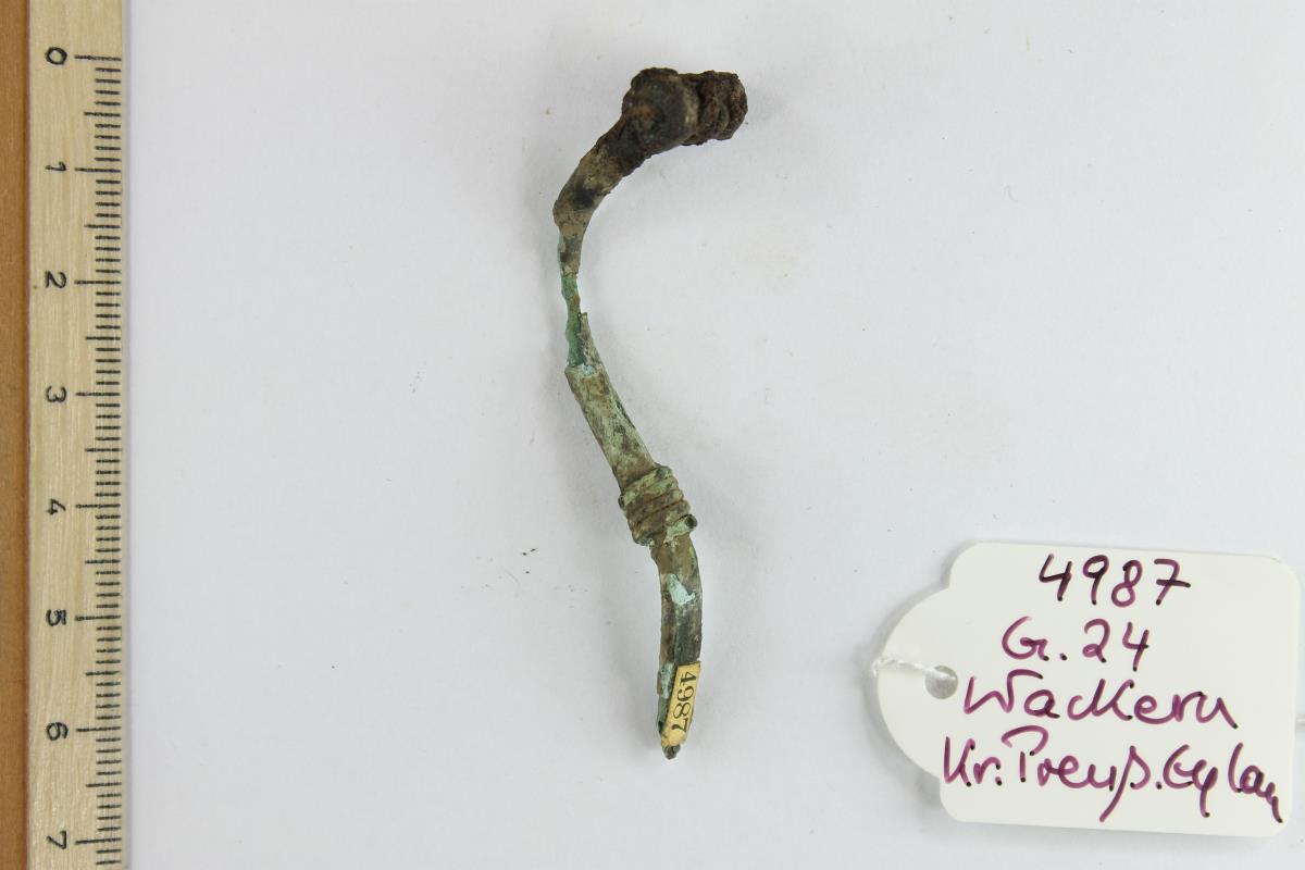 Fibelfragment