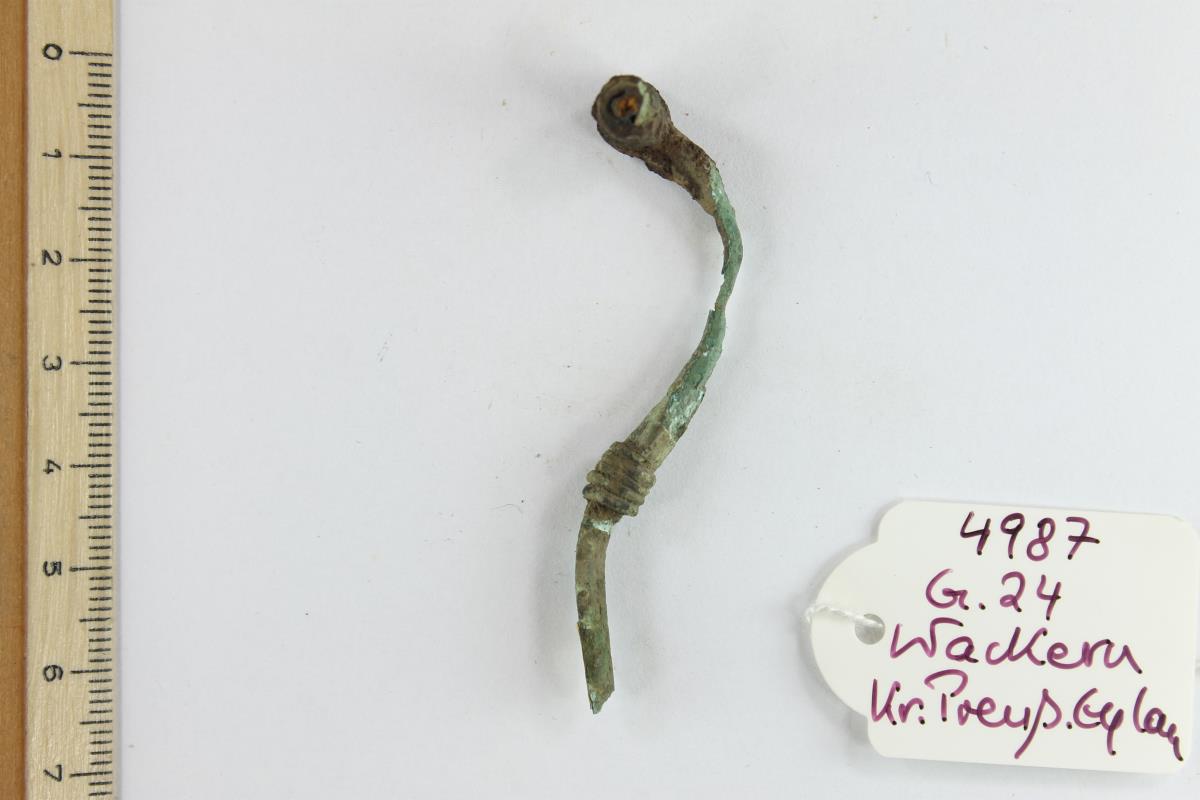 Fibelfragment