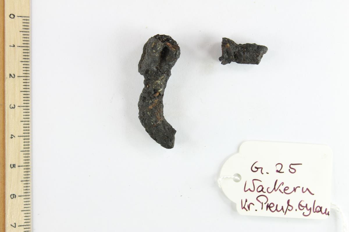 Fibelfragment