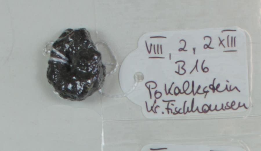 Eisenfragment