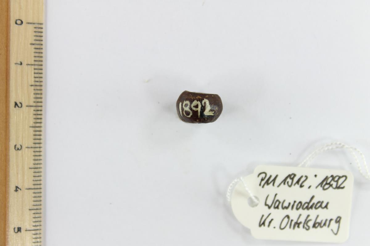 Bernsteinperle