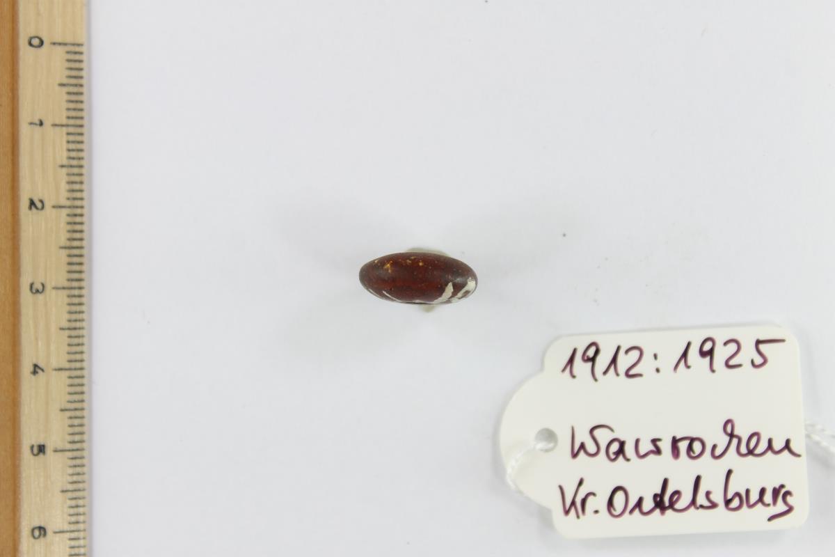 Bernsteinperle
