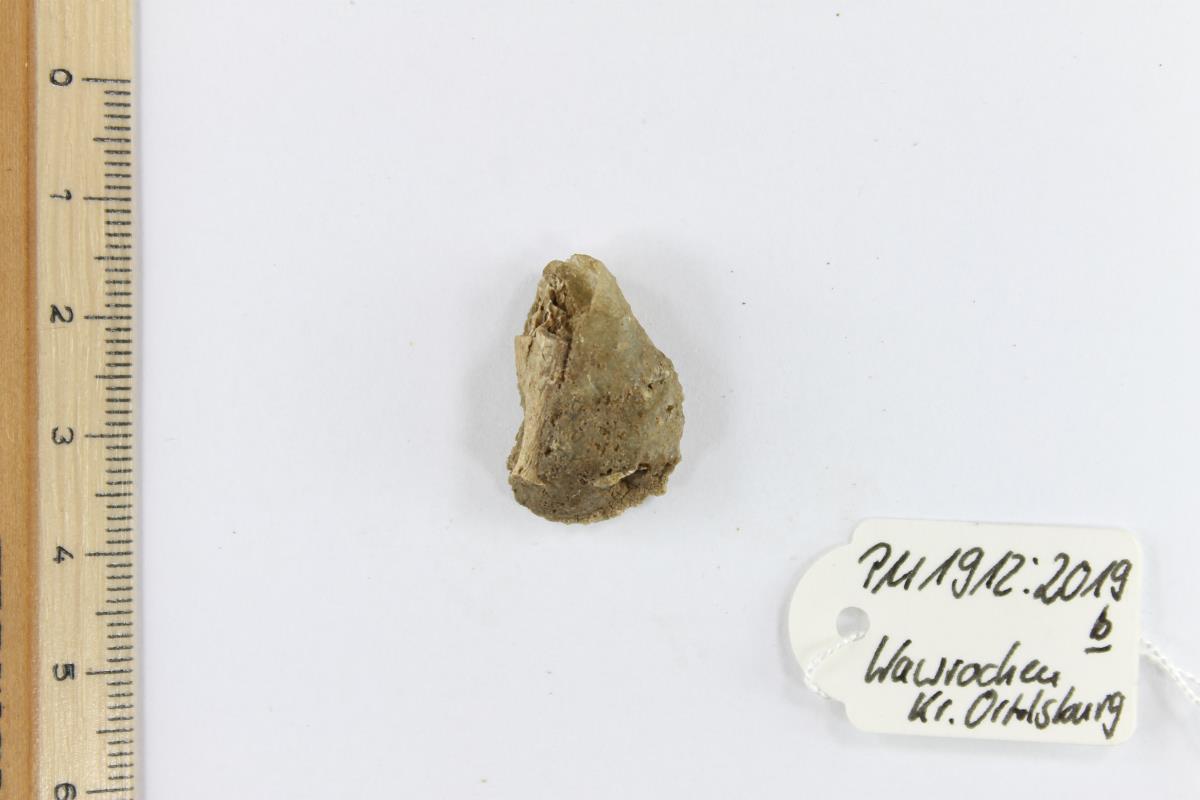 Glasperlen-Fragment mit Knochenrest