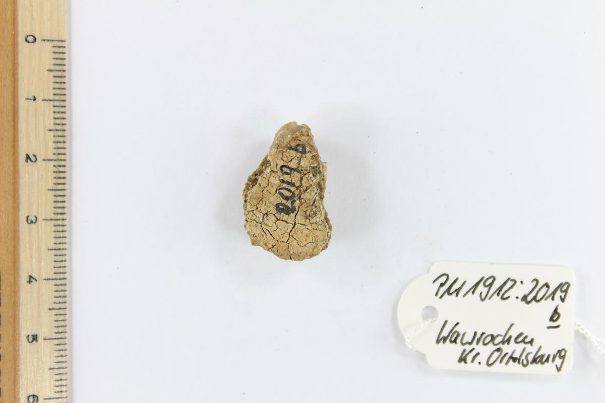 Glasperlen-Fragment mit Knochenrest