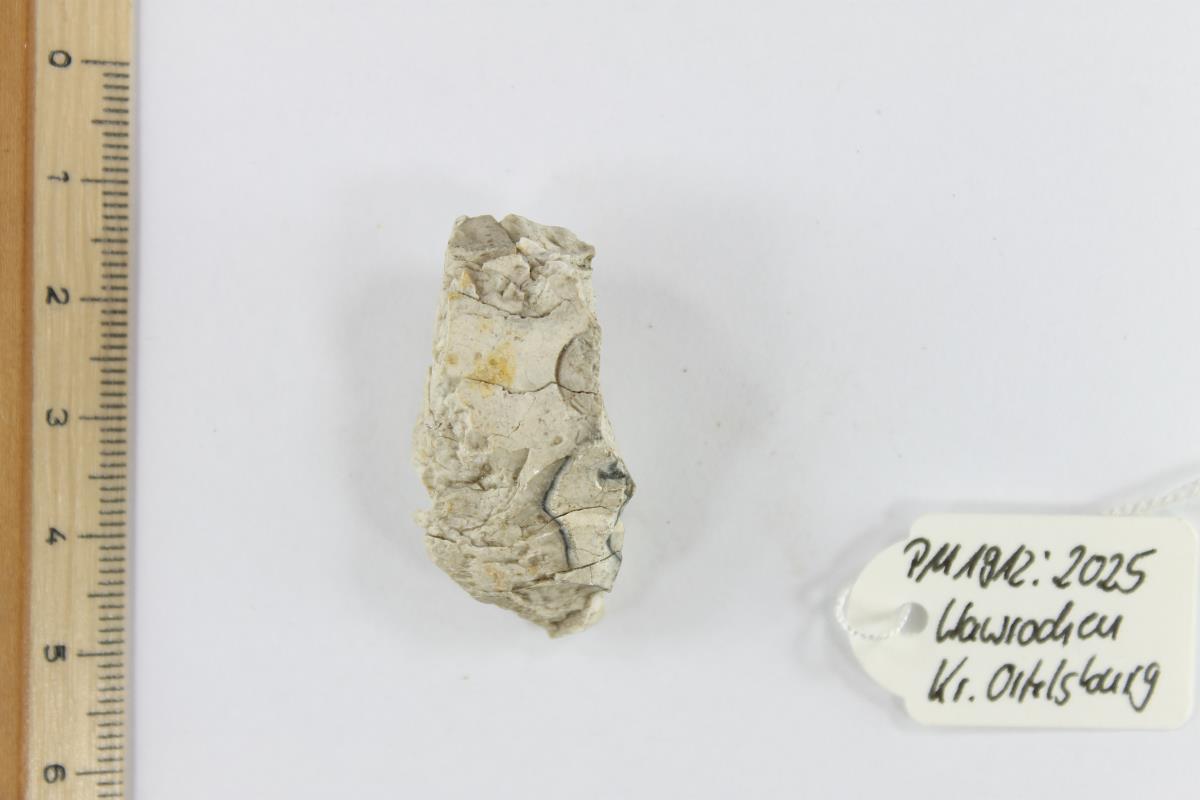 Silex