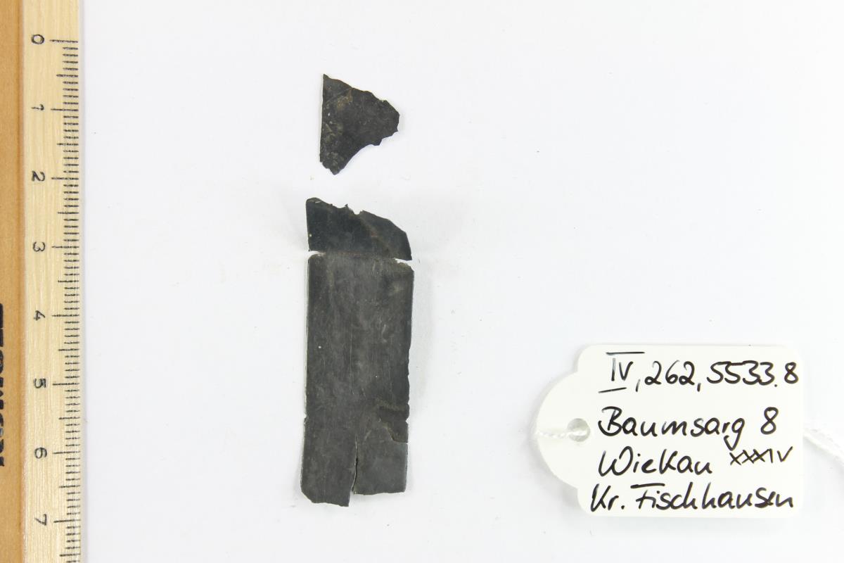 Zaumzeugbeschlag