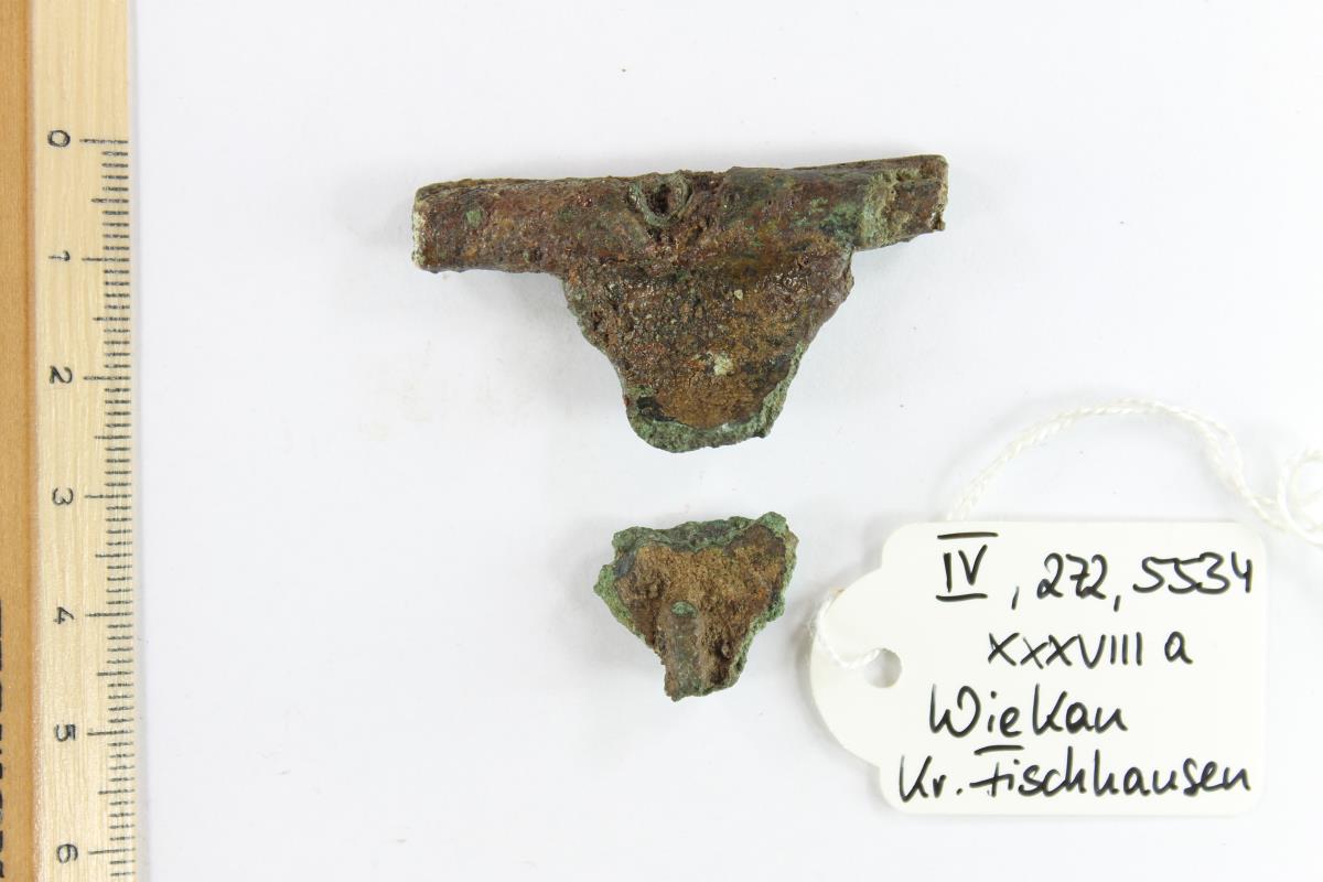 Fibelfragment