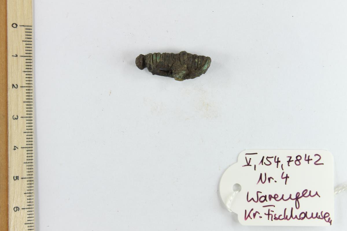 Fibelfragment