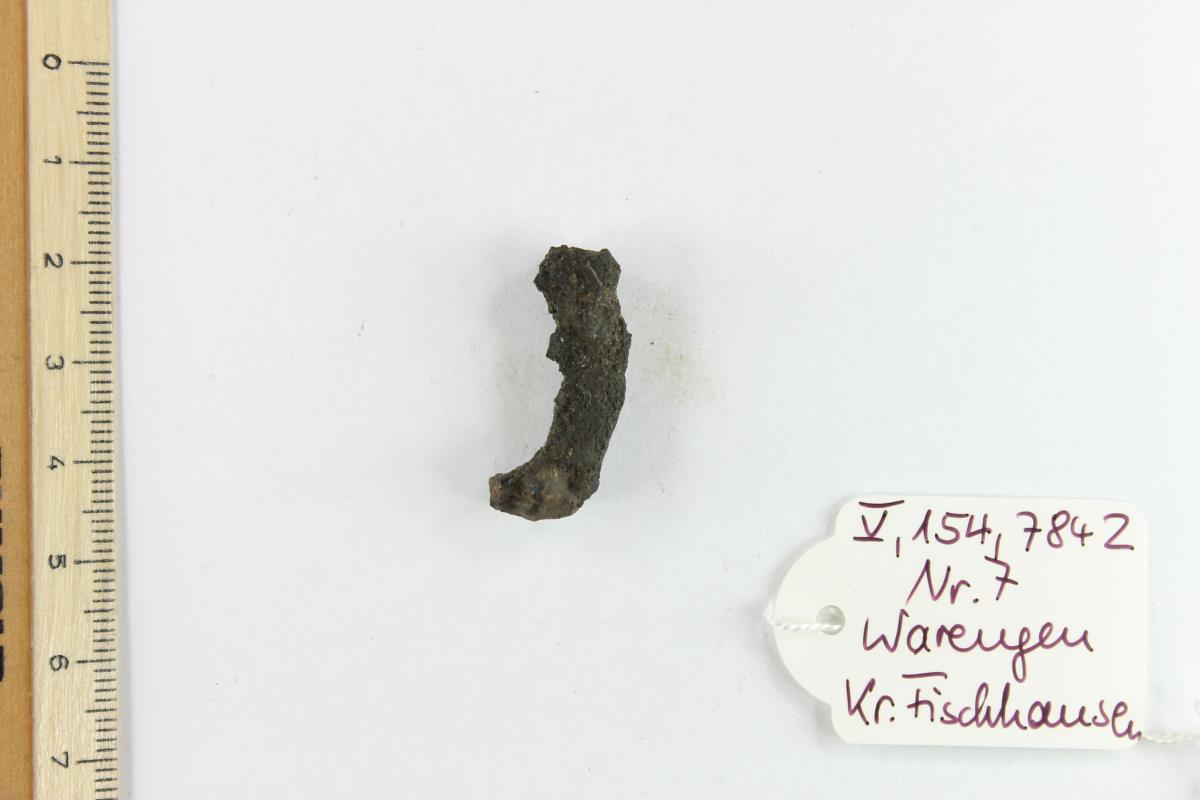 Fibelfragment