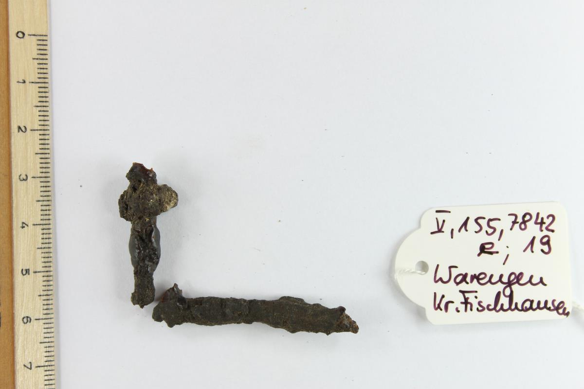 Gürtelschnallenfragment