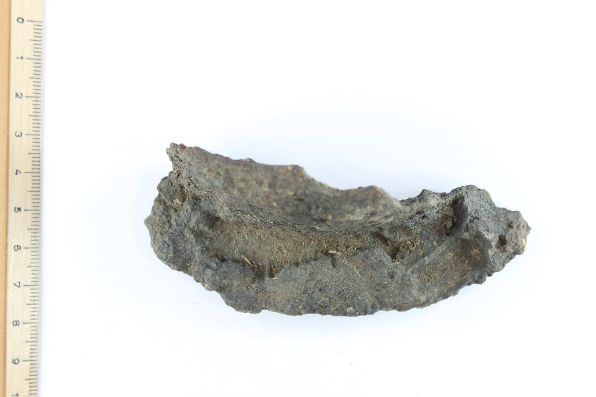 Schildbuckel