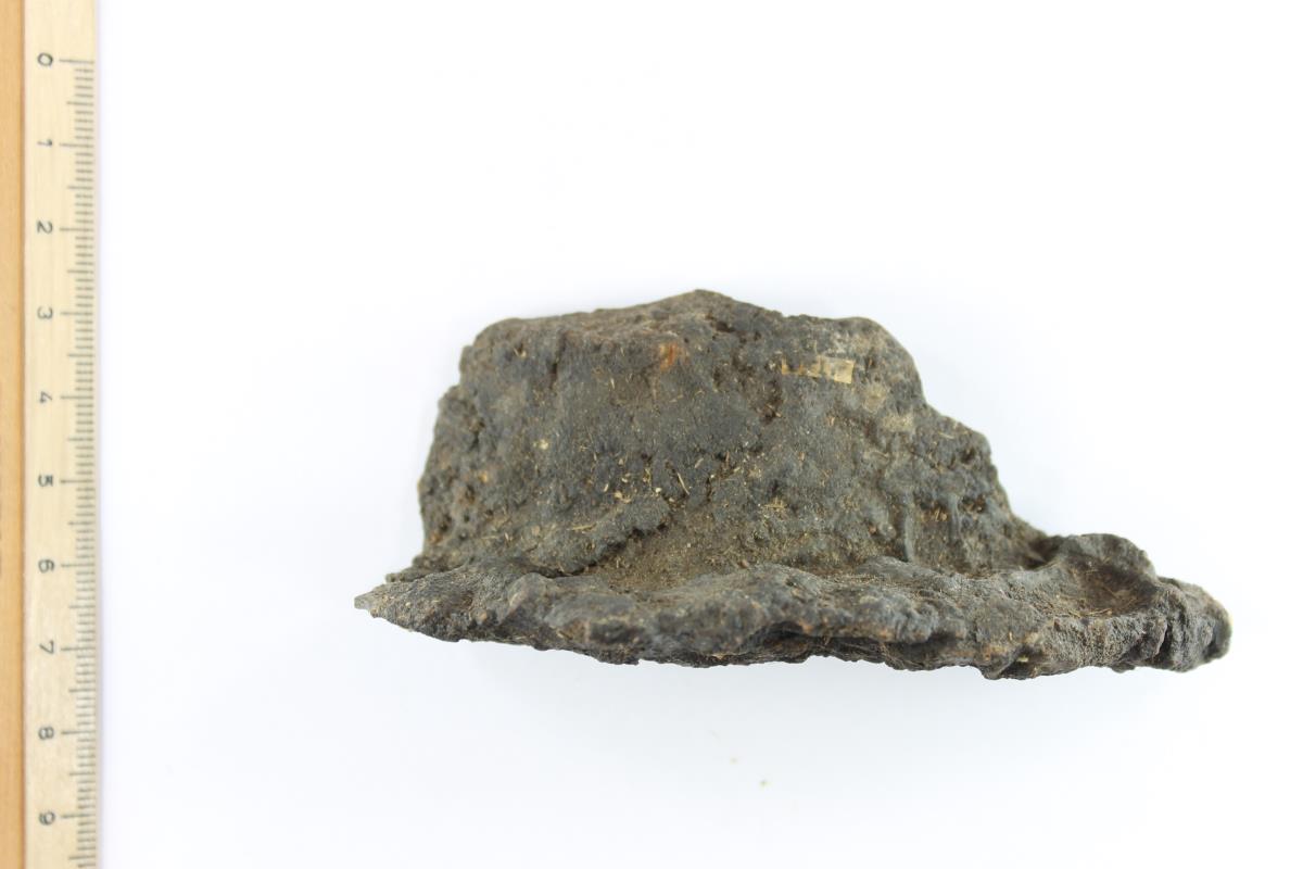 Schildbuckel