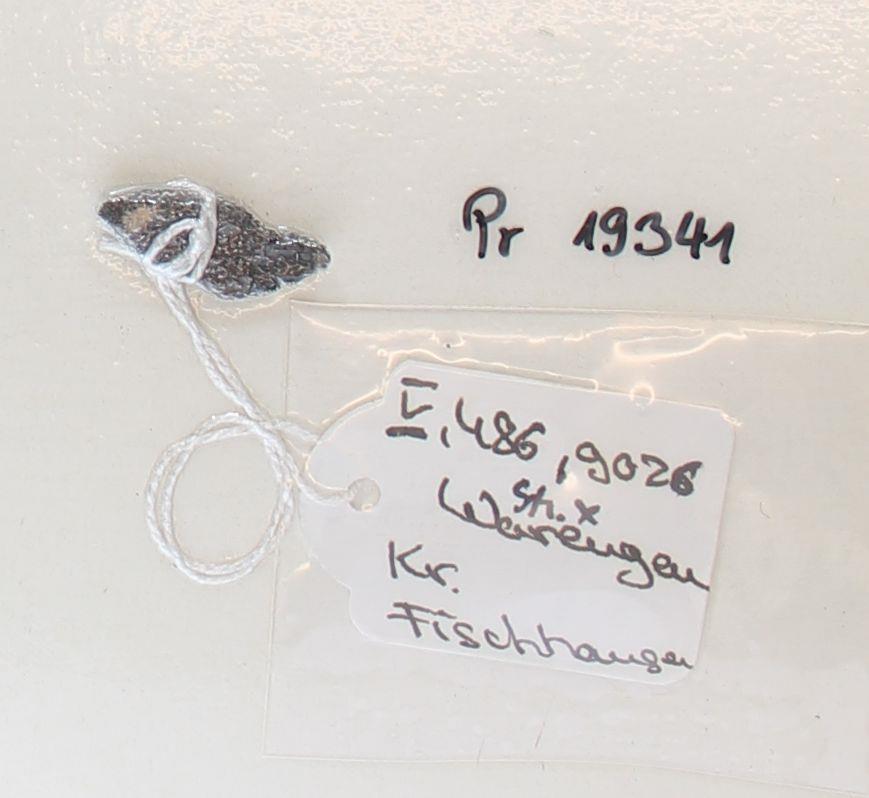 Messerfragment