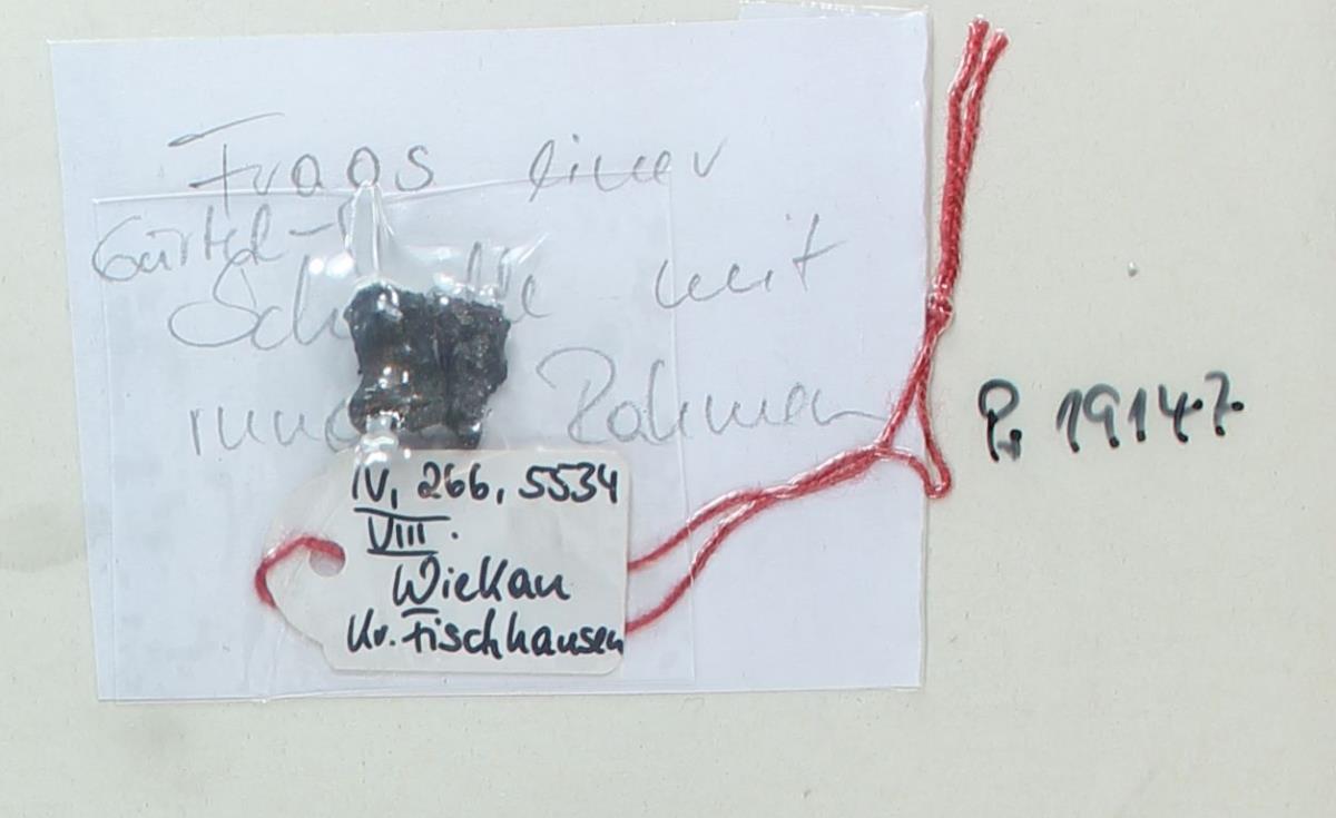 Gürtelschnalle