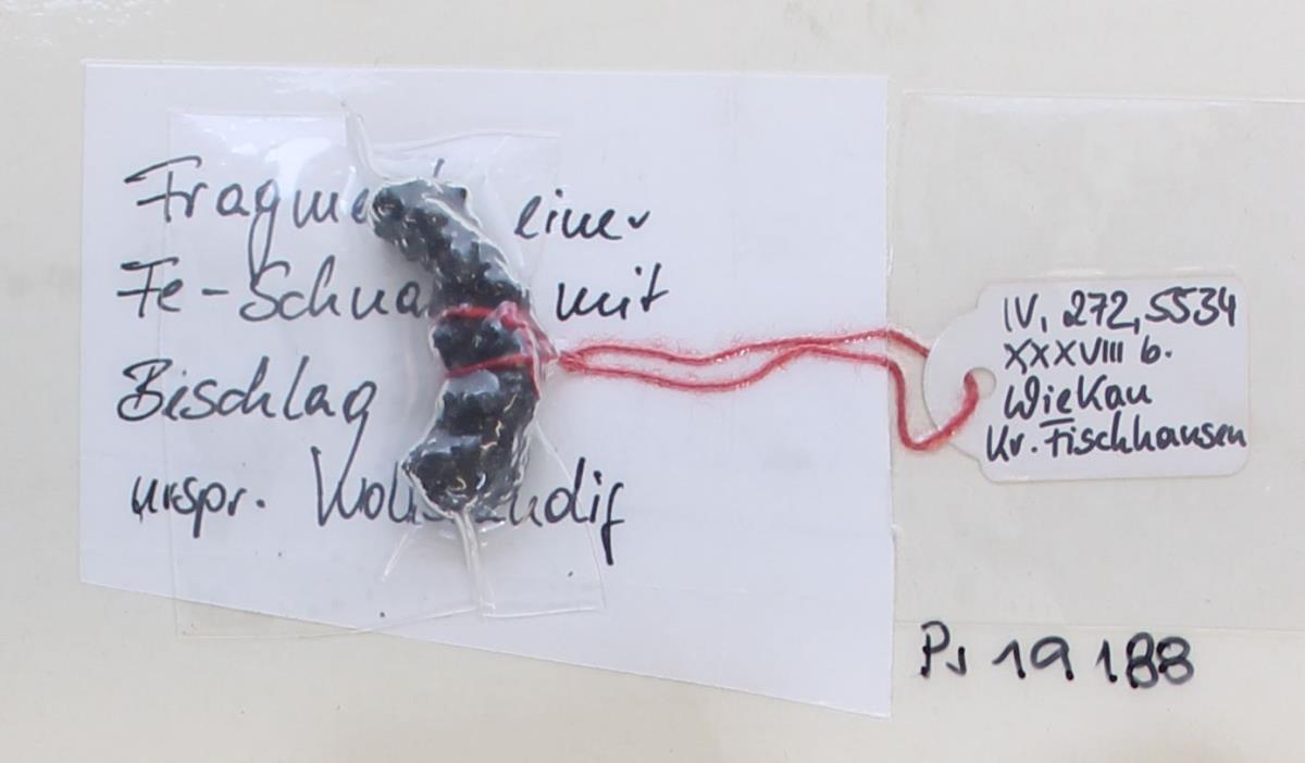 Gürtelschnallenfragment