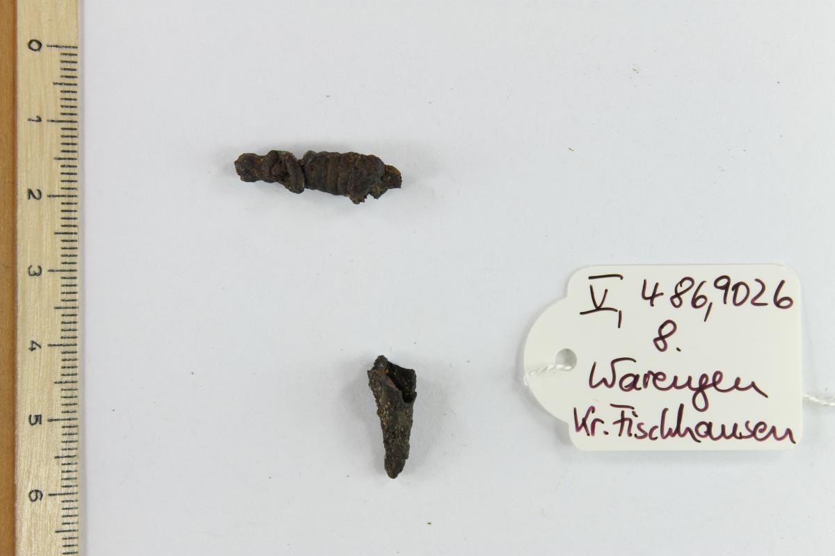 Fibelfragment