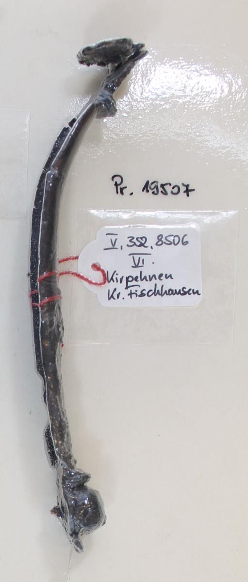 Schildfessel
