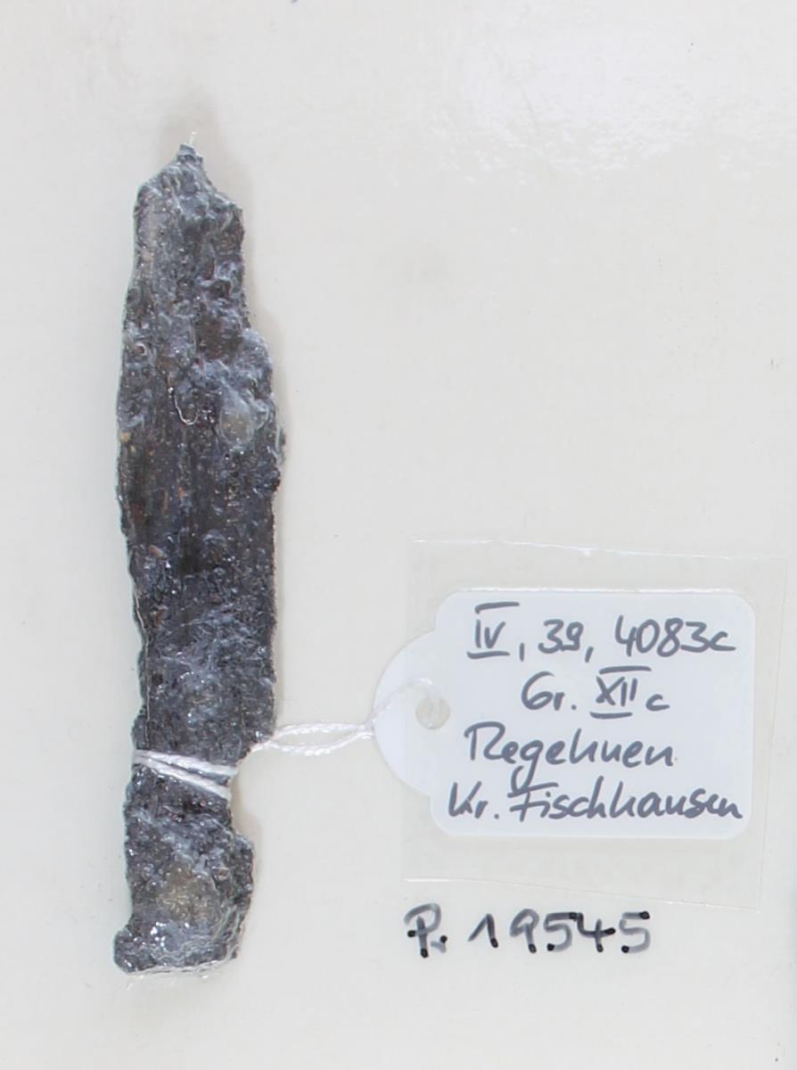 Schildfessel