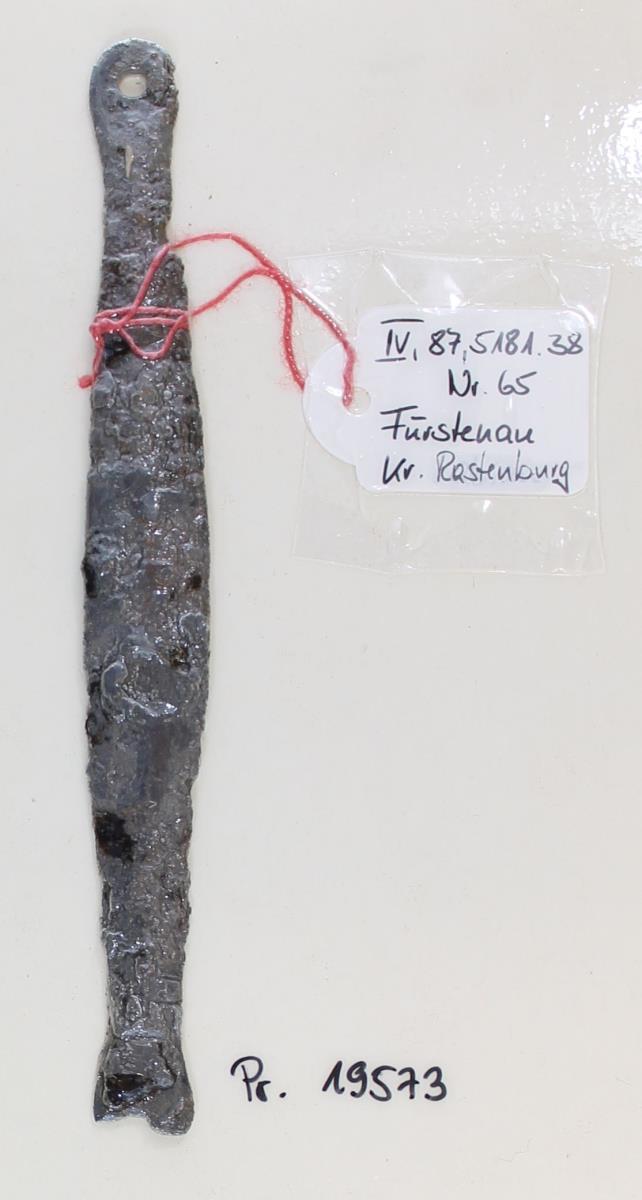 Schildfessel