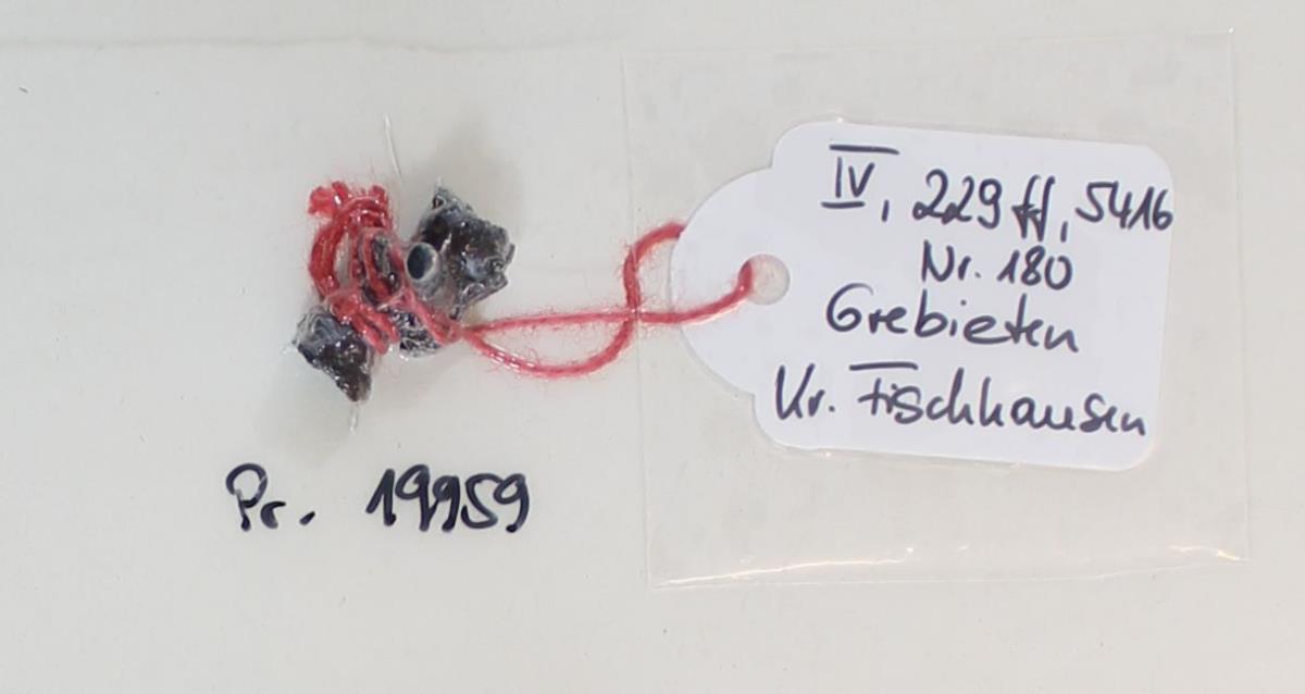 Fibelfragment