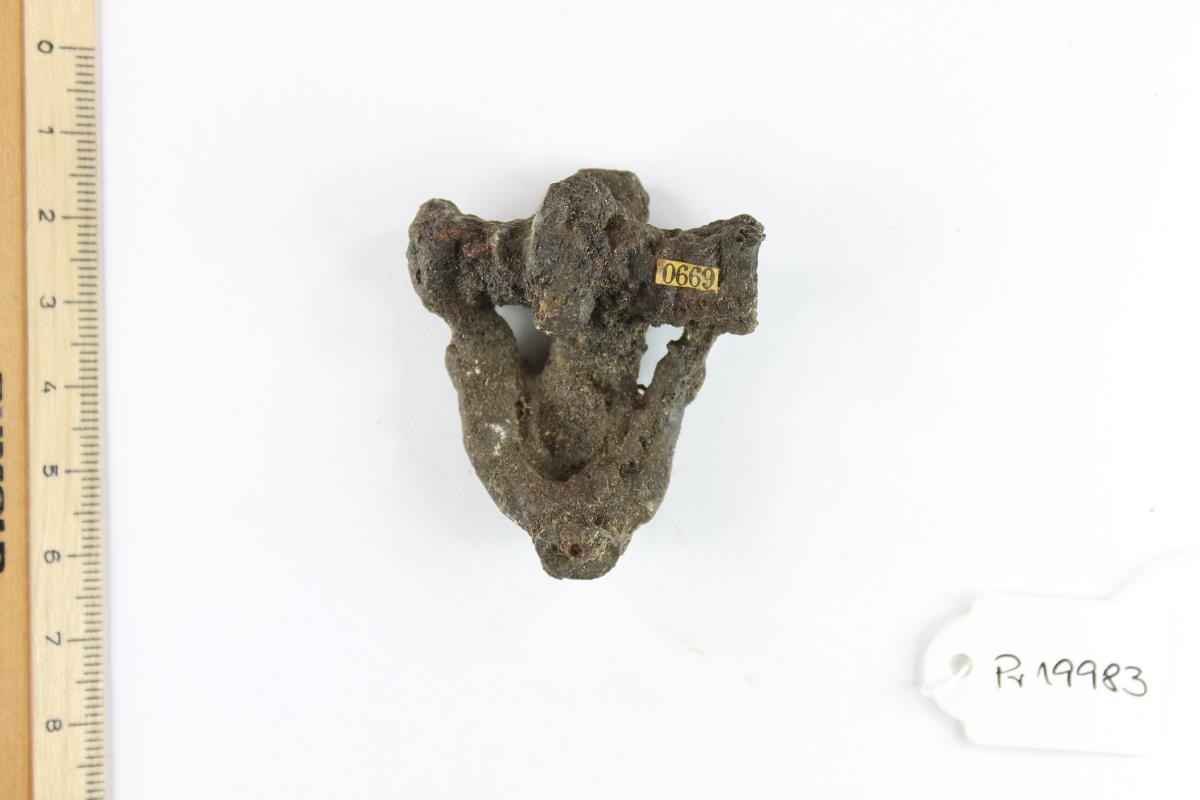 Fibelfragment