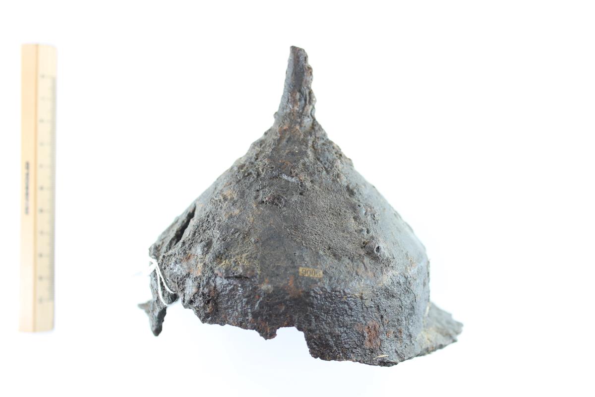 Schildbuckel