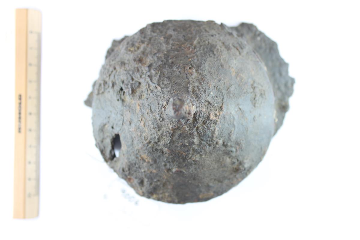 Schildbuckel