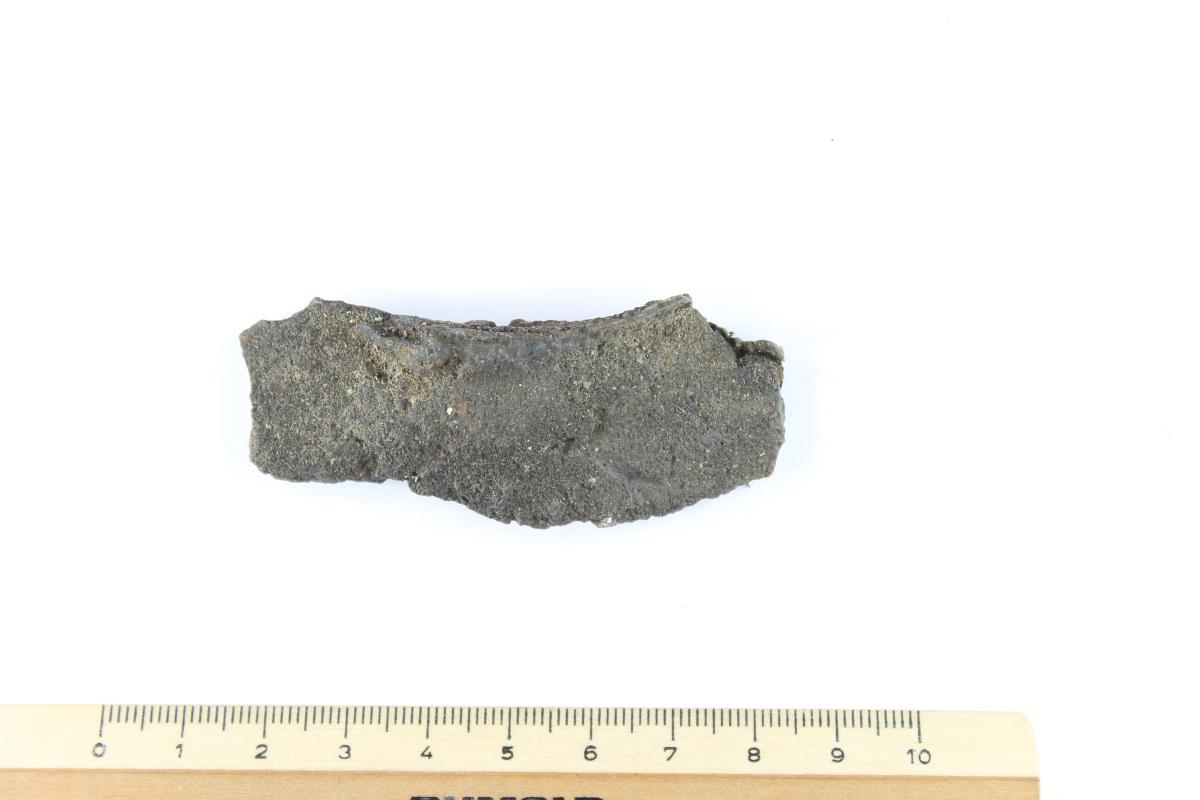Schildbuckel