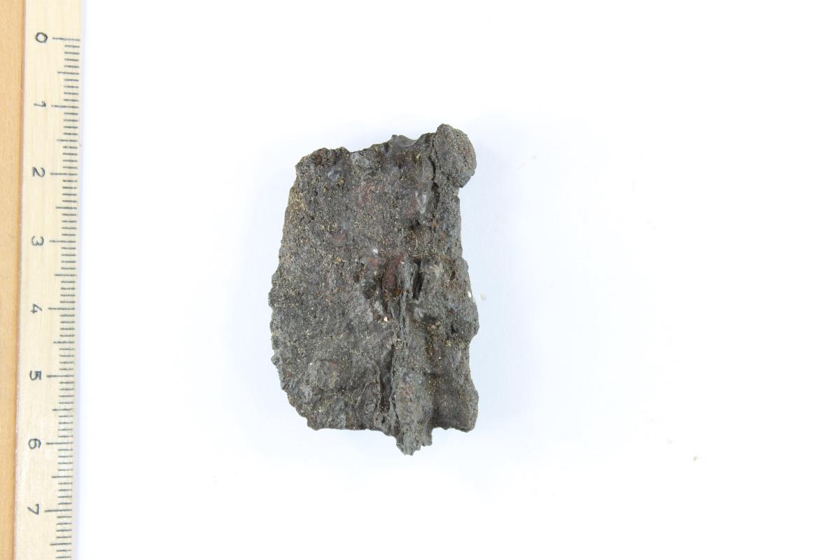 Gürtelschnallenfragment
