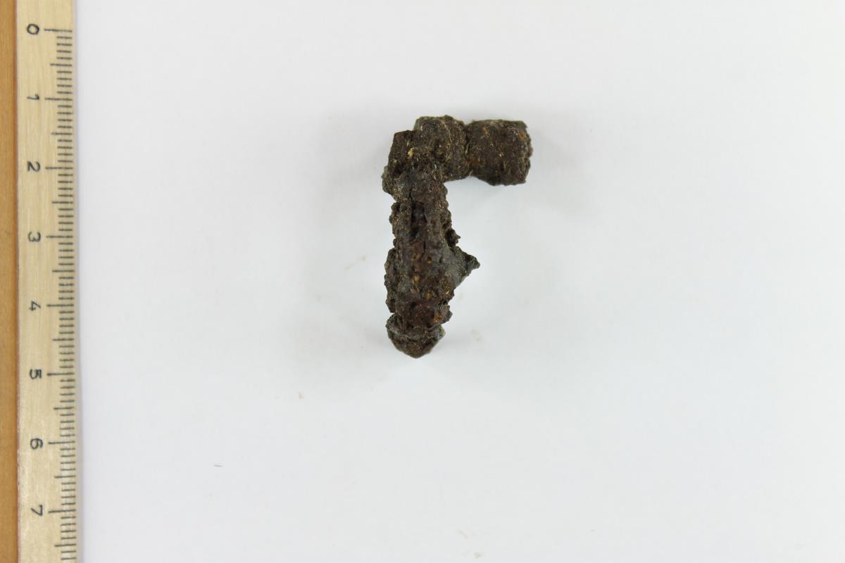 Fibelfragment