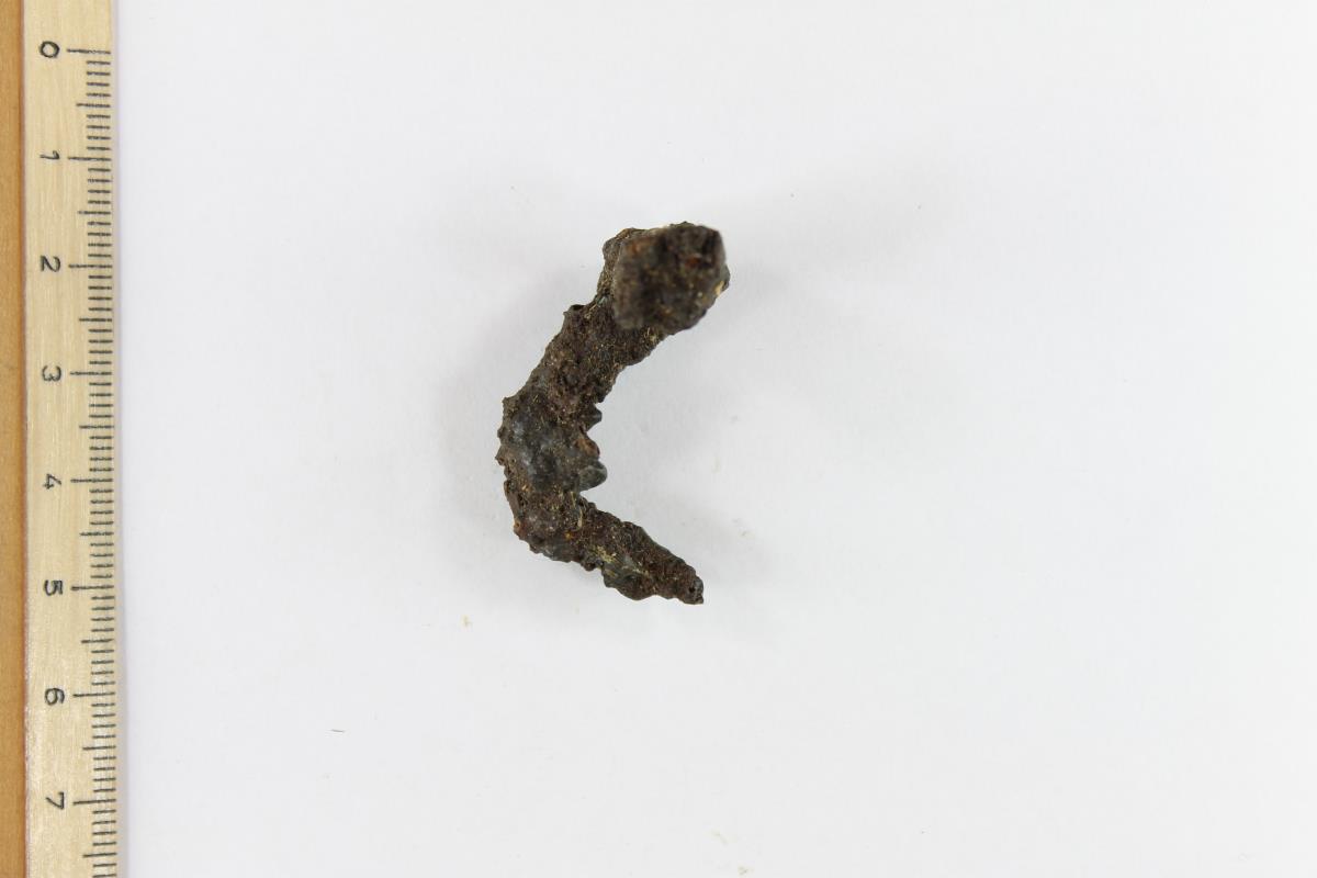 Fibelfragment