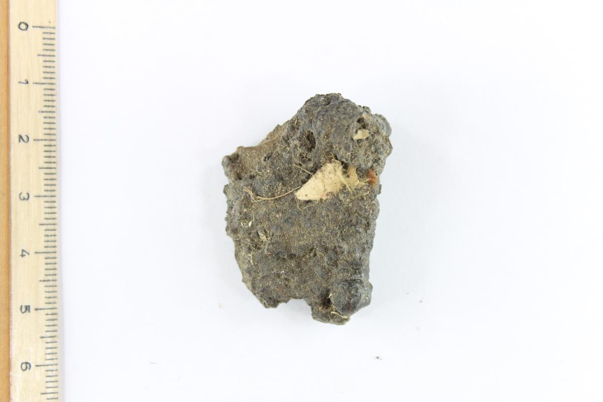 Gürtelschnallenfragment