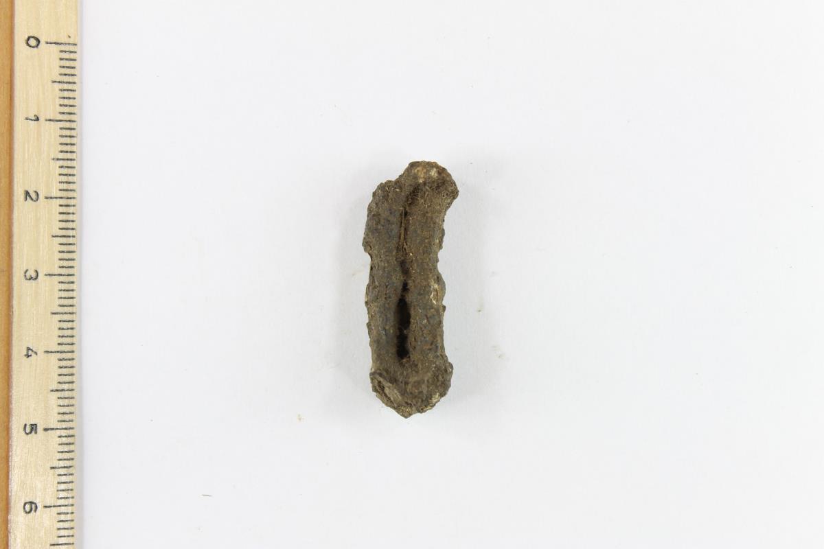 Fibelfragment